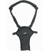 Cinture di Sicurezza Primi Passi Jané 2 in 1